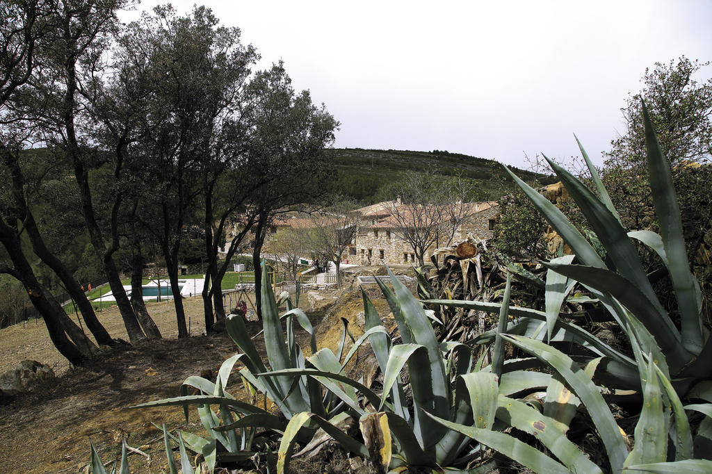 El Mangranar Hotel Adzaneta Exterior photo